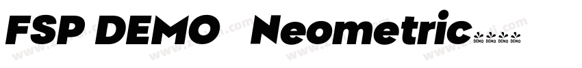 FSP DEMO   Neometric字体转换